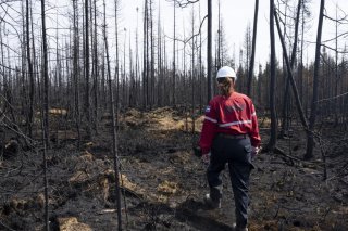 Le Canada connaît une saison des feux particulièrement forte cette année.